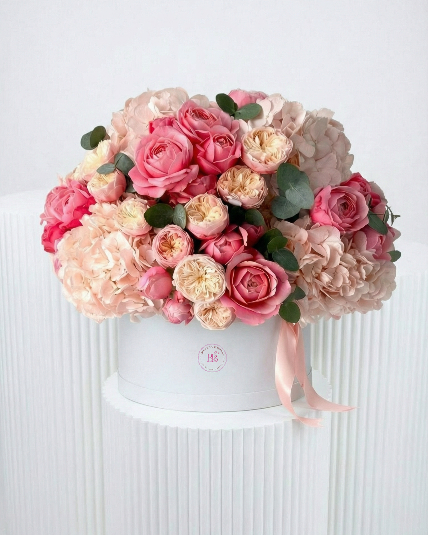 VIP Collections