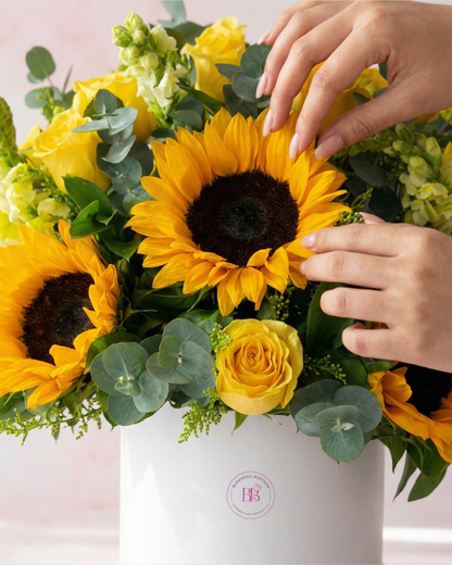 Pure Sun - BB Flowers UAE