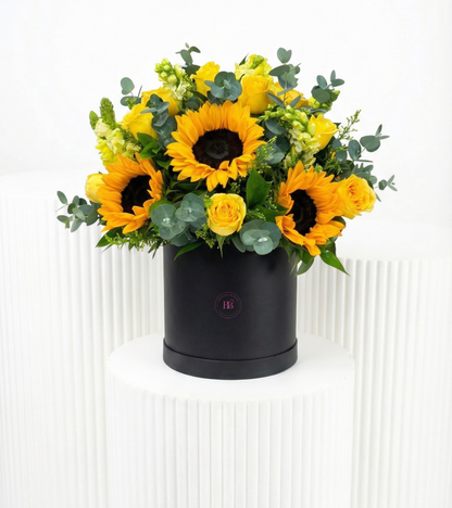 Pure Sun - BB Flowers UAE
