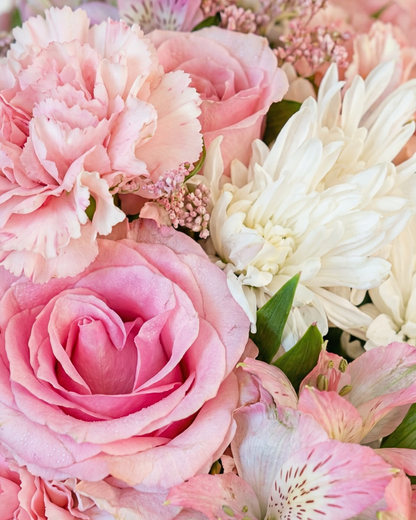 Classic Bloom - BB Flowers UAE